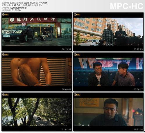 中文字幕国产片,穿越时空的传奇故事  第3张