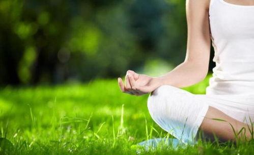 国产瑜伽福利视频在线  第3张