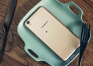 热e国产,探寻能源变革中的绿色奇迹  第2张