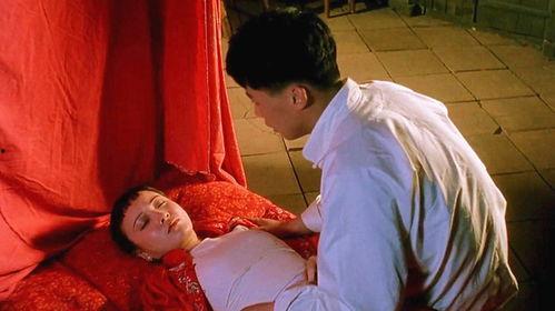 男人和女人国产,男人国与女人国的奇妙世界  第3张